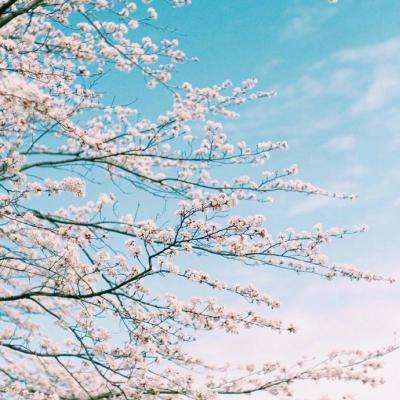 bsport体育在线登录